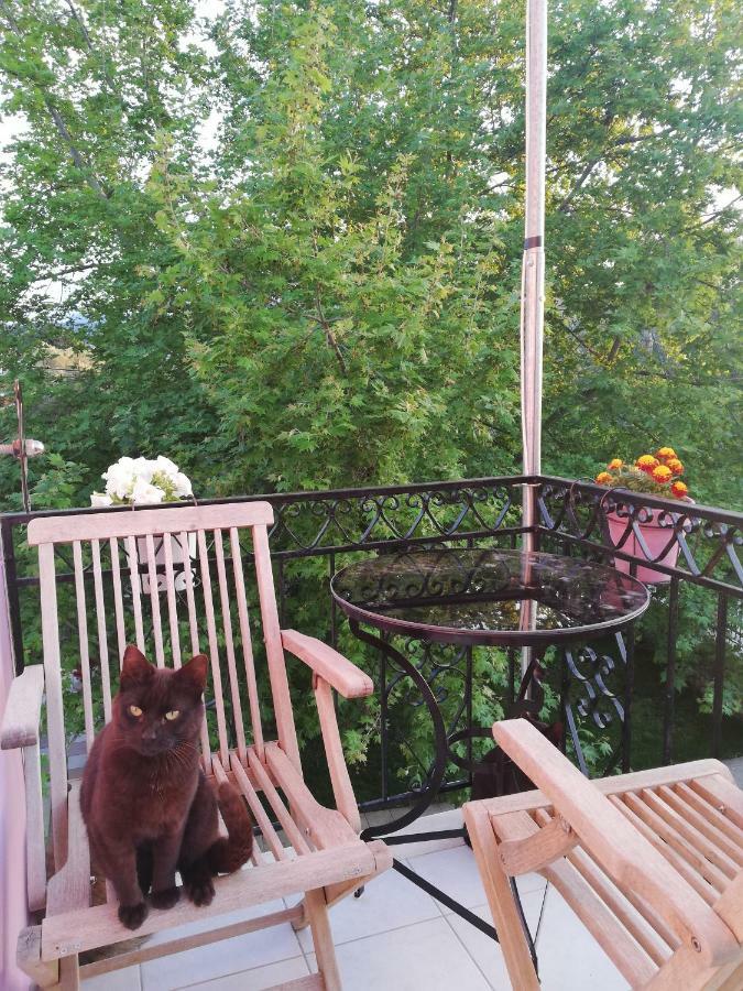 Гостевой дом La Casa Di Caterina Лефкада Экстерьер фото